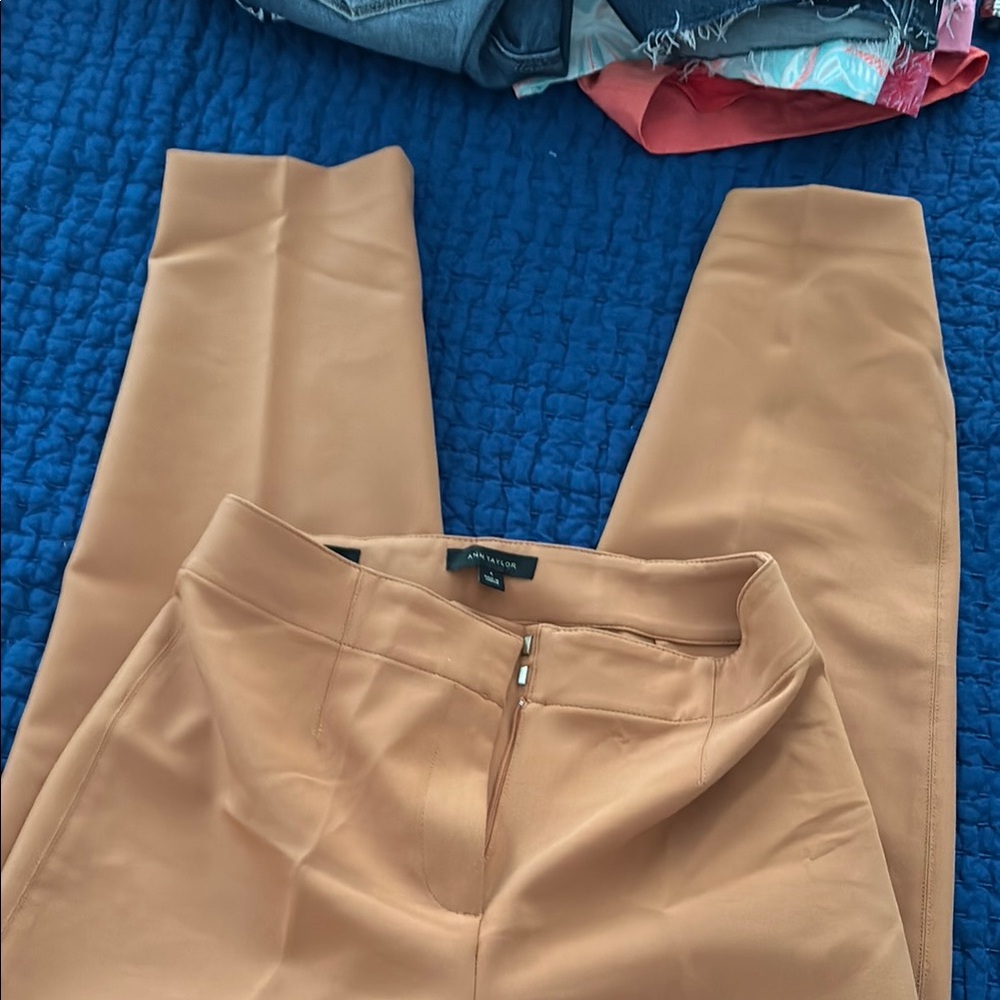 Ann Taylor Tan Women's Pants